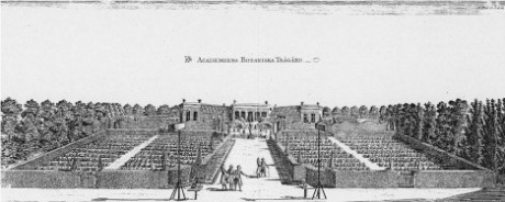 Linnés trädgård på 1700-talet.