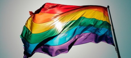 Homolobbyns flagga.