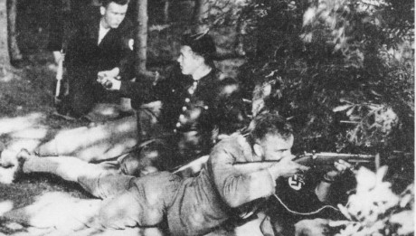 Freikorps Sudetenland i strid