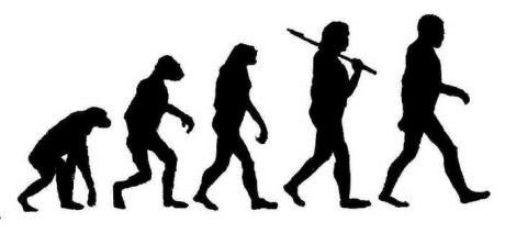 Det var Darwin som upptäckte att människan utvecklats från primitivare livsformer.