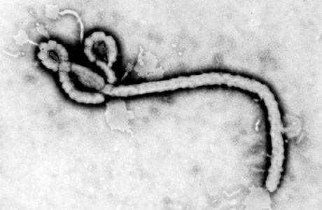 Ebola22