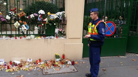 Dagen efter terrordåden i Paris besöktes en minnesceremoni. Dagarna efter attentaten syntes beväpnade vakter runtom i staden.